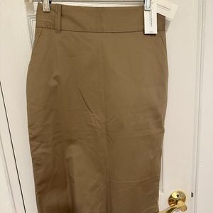 Banana Republic Pencil Skirt
